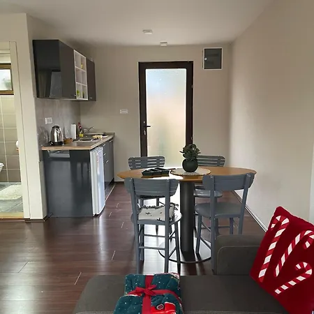 Tatil Evi Moderna Kuca Bajina Basta